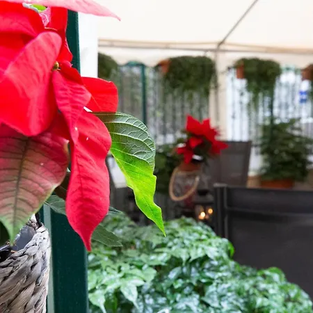 Гостевой дом Flatinrome Trastevere Deluxe - Patio 3*