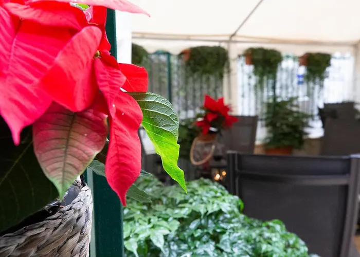 Hotel Flatinrome Trastevere Deluxe - Jacuzzi - Accetta Bonus Vacanze 3*